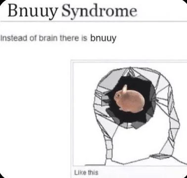 bnuuy3
